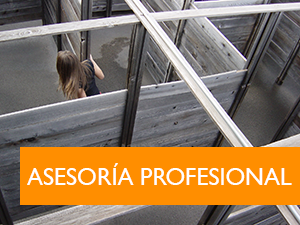 Asesoría profesional - coaching Asesoría profesional - coaching